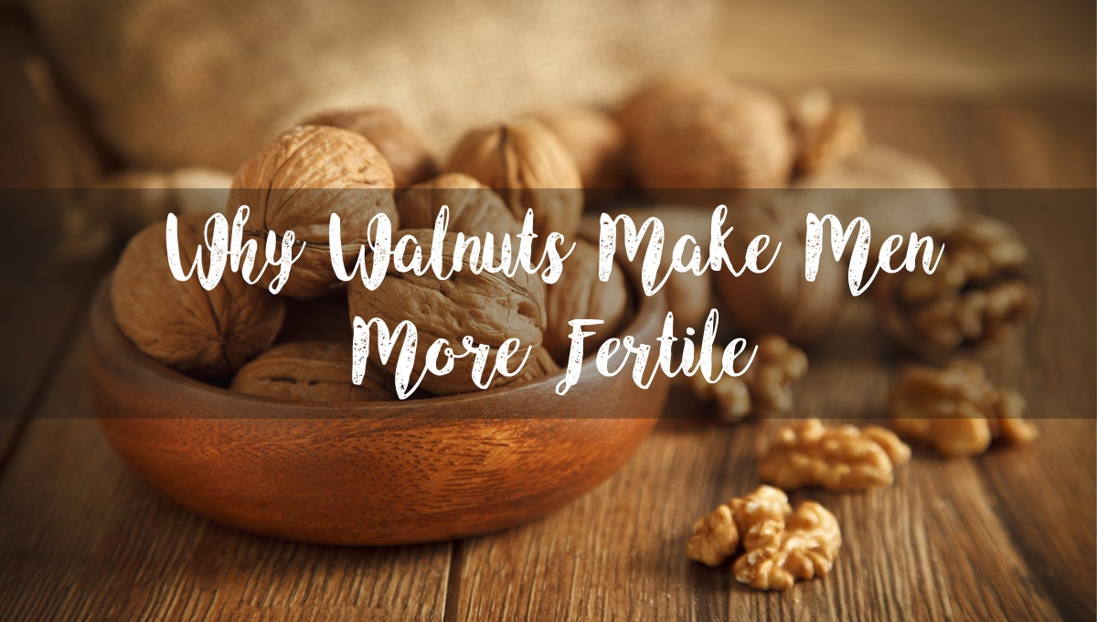 Why Walnuts Make Men More Fertile