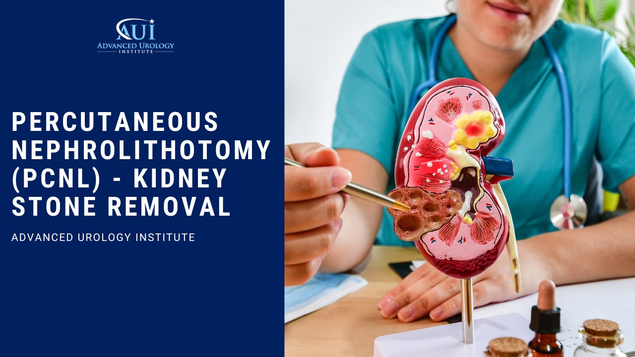 Percutaneous Nephrolithotomy (PCNL) – Kidney Stone Removal